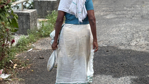טיול מאורגן או טיול בהתאמה אישית בהודו – מה באמת ההבדל?