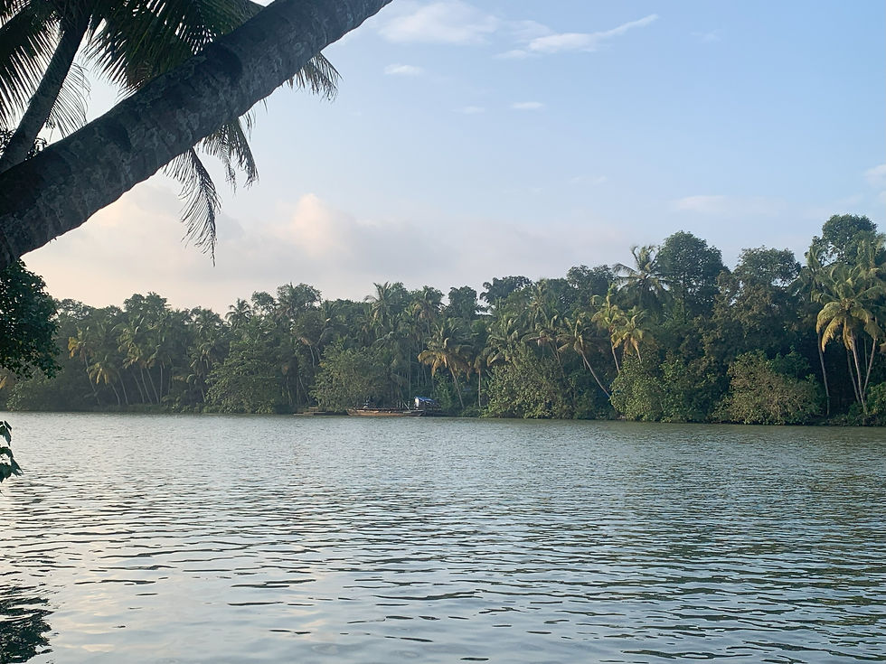 backwaters5.jpg