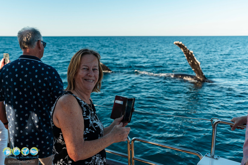 humpback whale pec slapping next to boat
