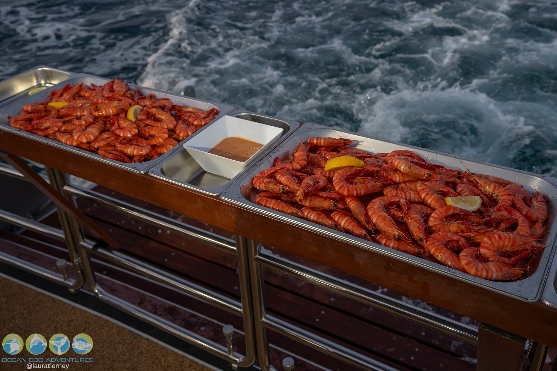 prawn served onboard our sunset whale watch cruise