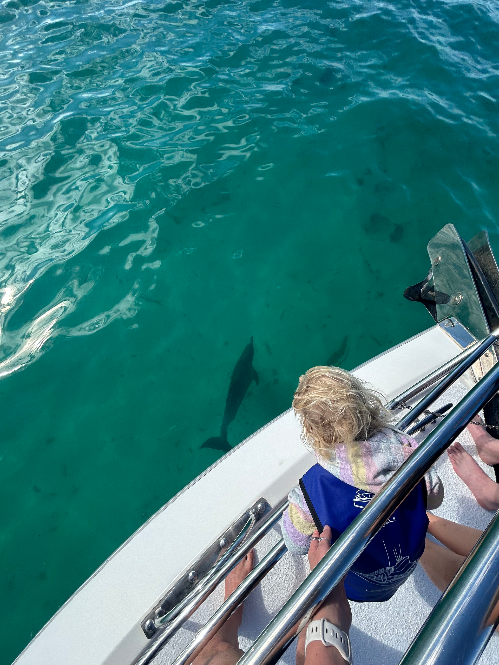 child looking at dolphin from the bow of the boat