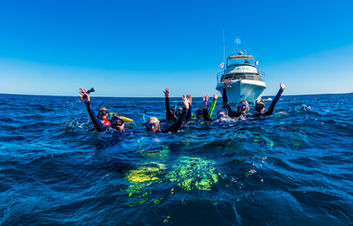 people cheering in water after swim