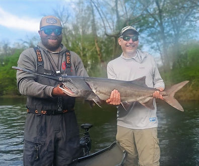 a paddlefish caught on Lake Taneycomo with CastAway Charters