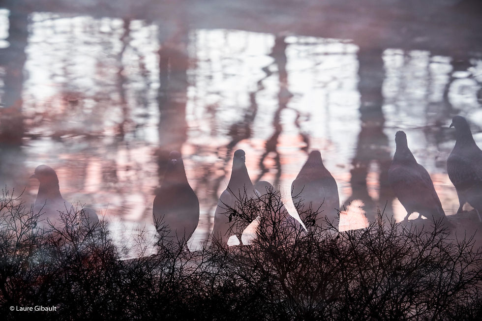 Morning in Paris-4425