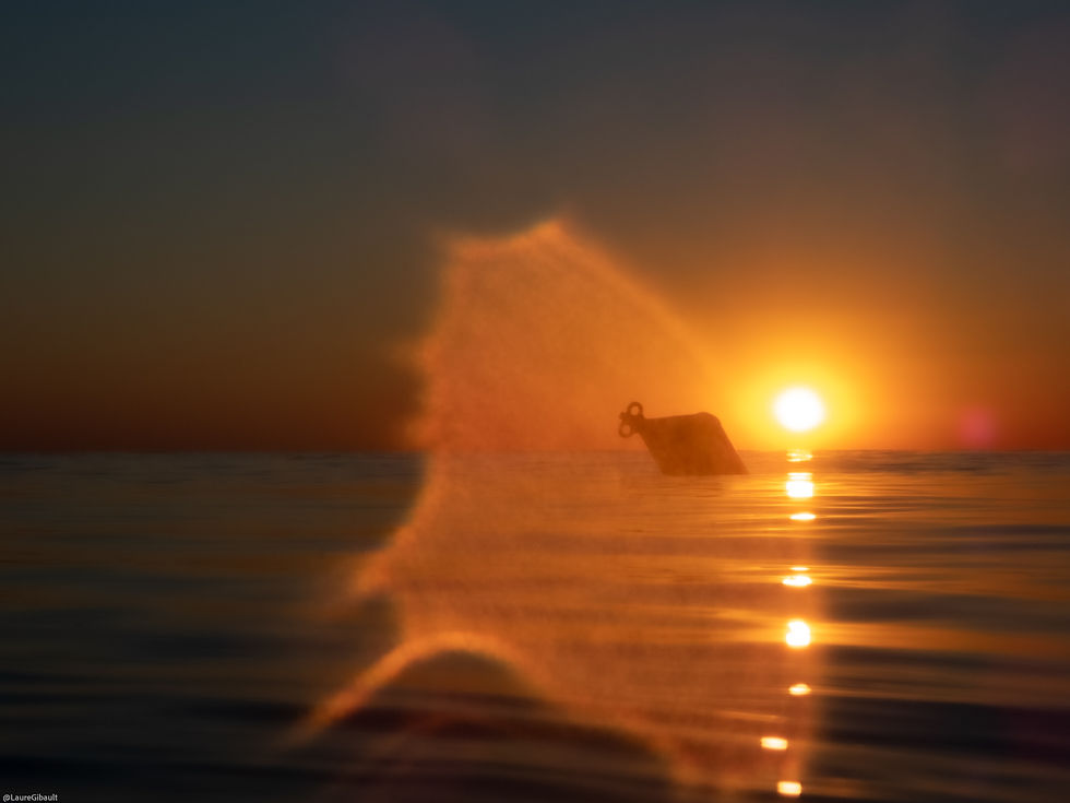 Summer Solstice_Birth of a New Day 02