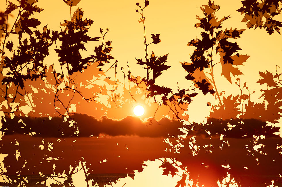 Summer Solstice_Birth of a New Day 04