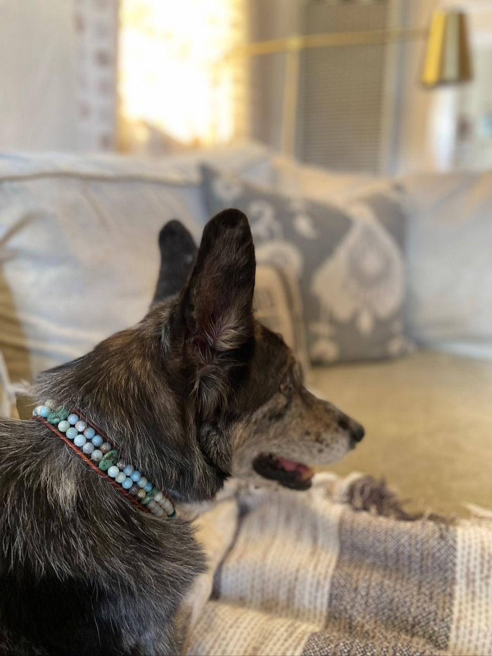 Thumbnail: Ethereal Animal Healing Necklace ❤️