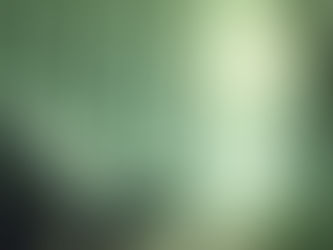 מה עושים כשנכשלים - פרשת ויקרא