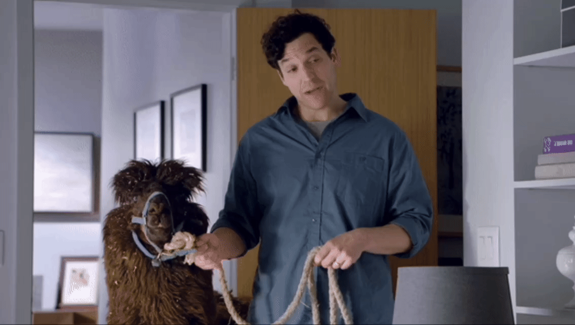 Serta_iComfort_-_Alpaca