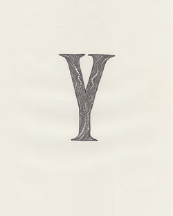 Y