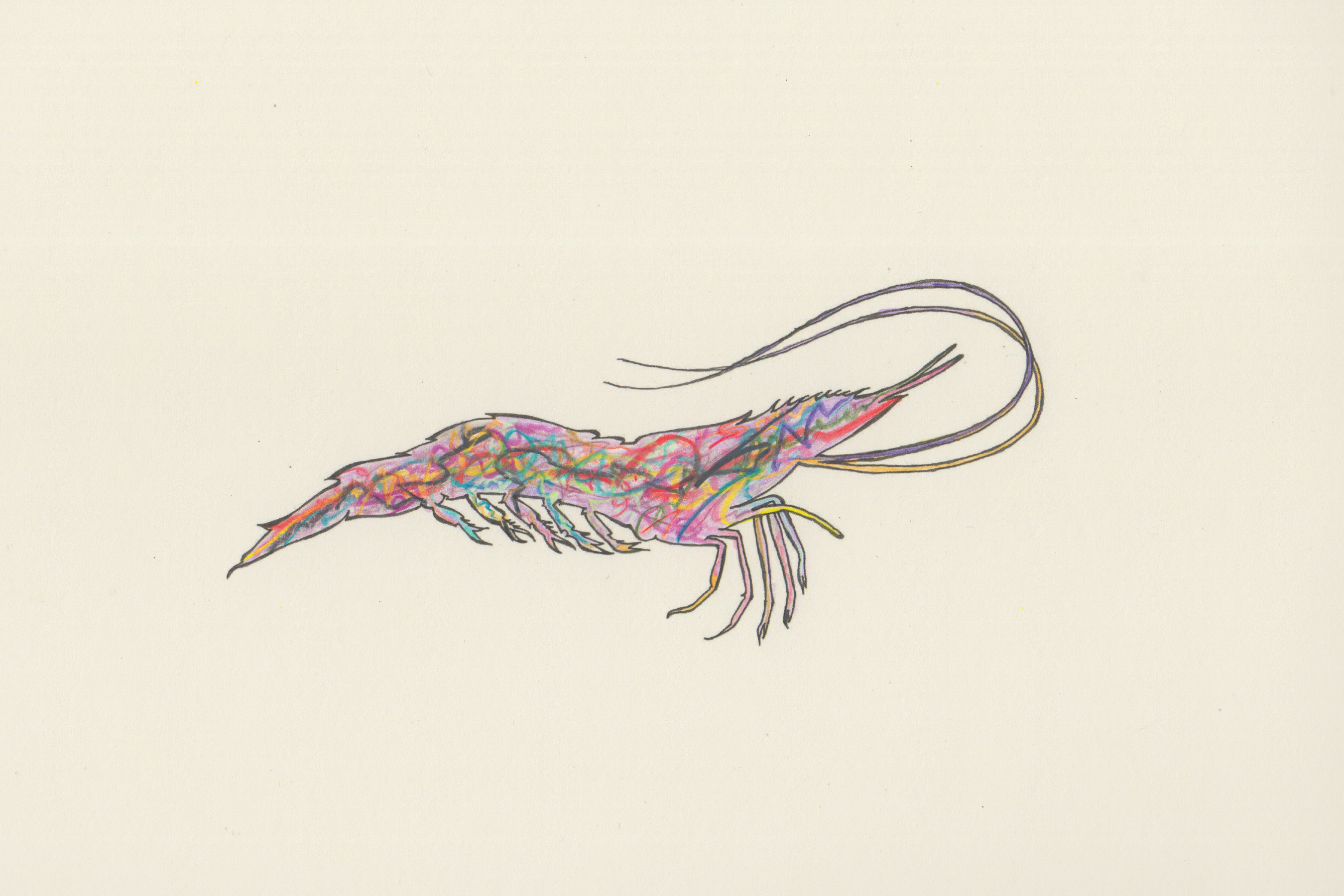 Electric Shrimp