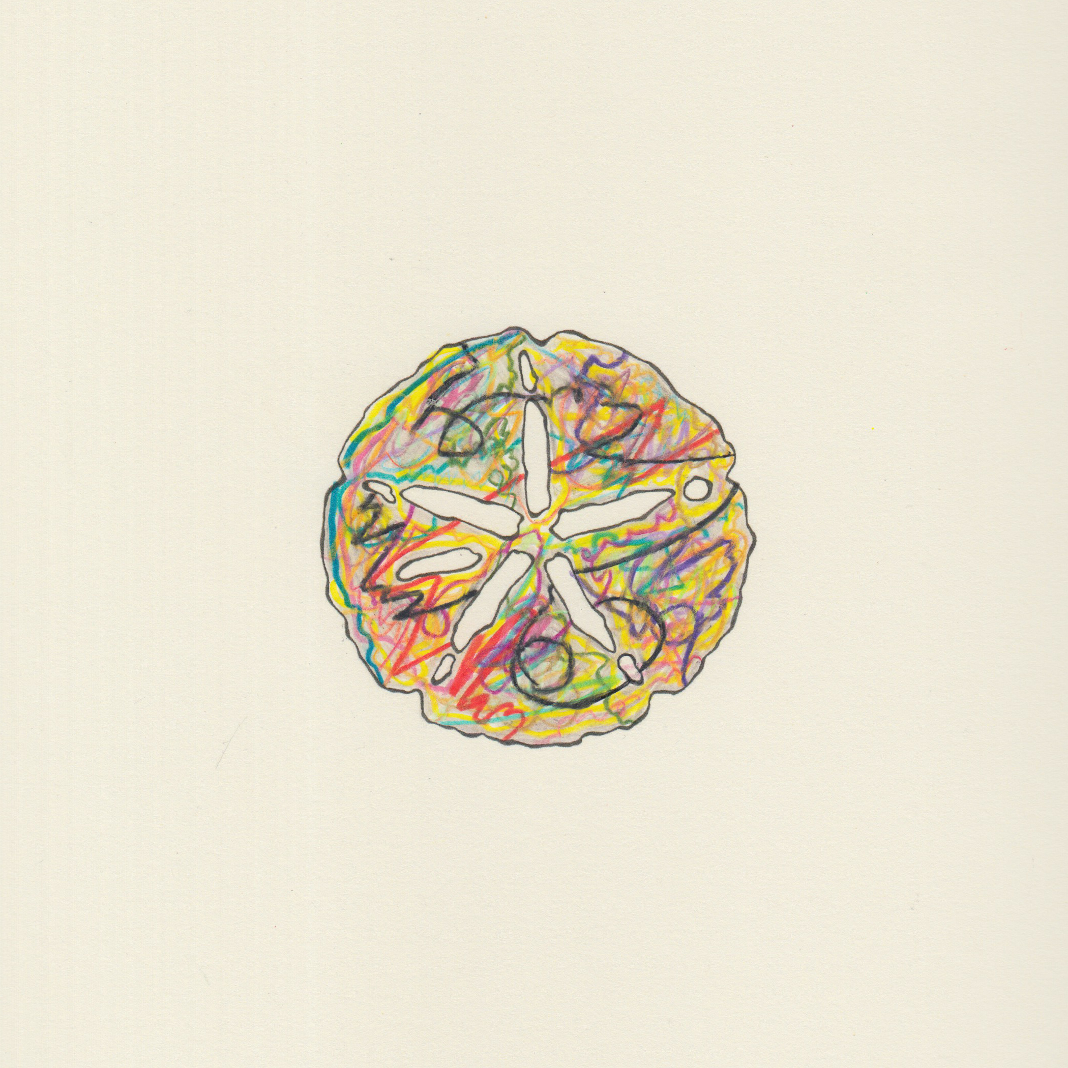 Electric Sand Dollar