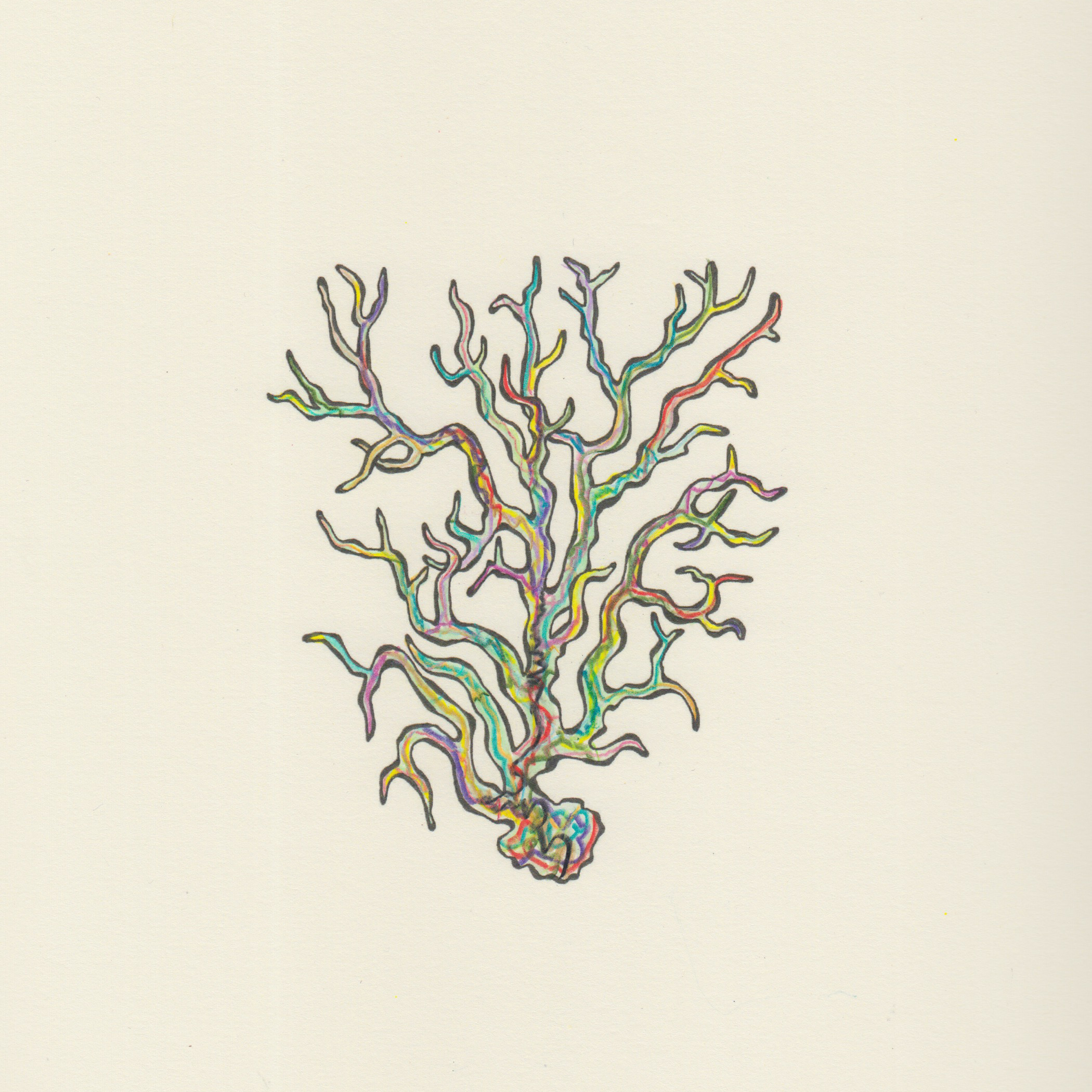 Electric Coral