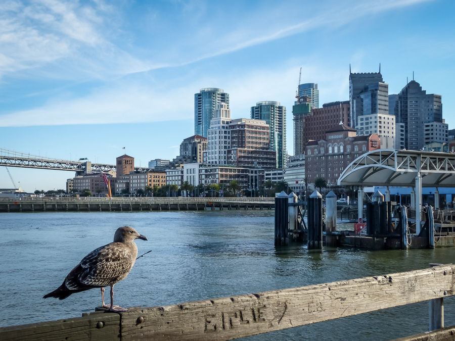 San Francisco - Area