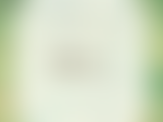 数秘４　安心できる場所