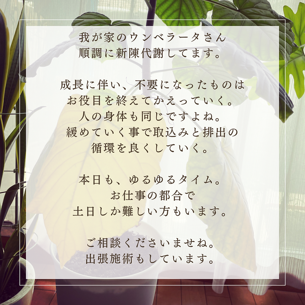 人の身体はしっかり栄養を得たら、しっかり排泄も大事。
