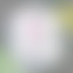 数秘１　THE なわたし