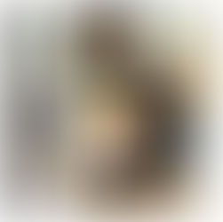 春から仕事のシフトチェンジするに当たり、何をしたらいいのか…春までの展開が知りたい