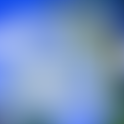 まもなく夏休みですね♡