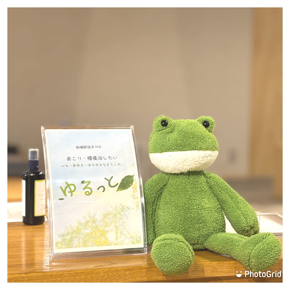 相棒のカエルさん