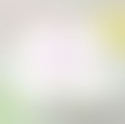 玉ねぎを剥いた先にあるもの