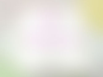 玉ねぎを剥いた先にあるもの