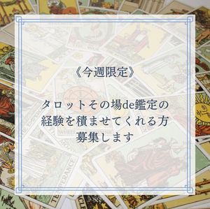 期間限定、タロット鑑定募集
