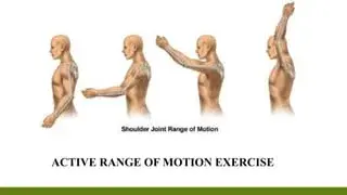 Classical Pilates and Flexibility: How It Helps Improve Range of Motion