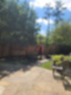 Fertilizing Trees