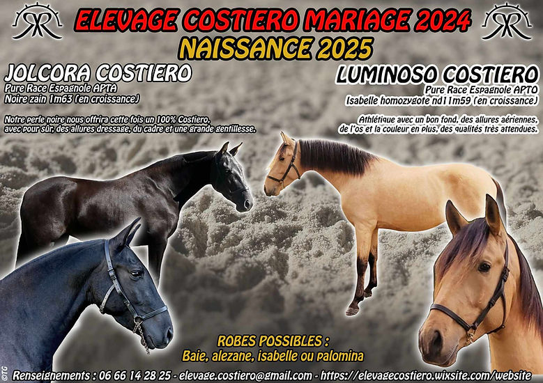 Mariage Jolcora x Luminoso 2024