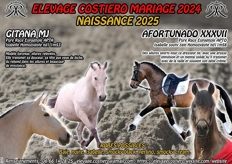 Mariage Gitana x Afortunado 2024