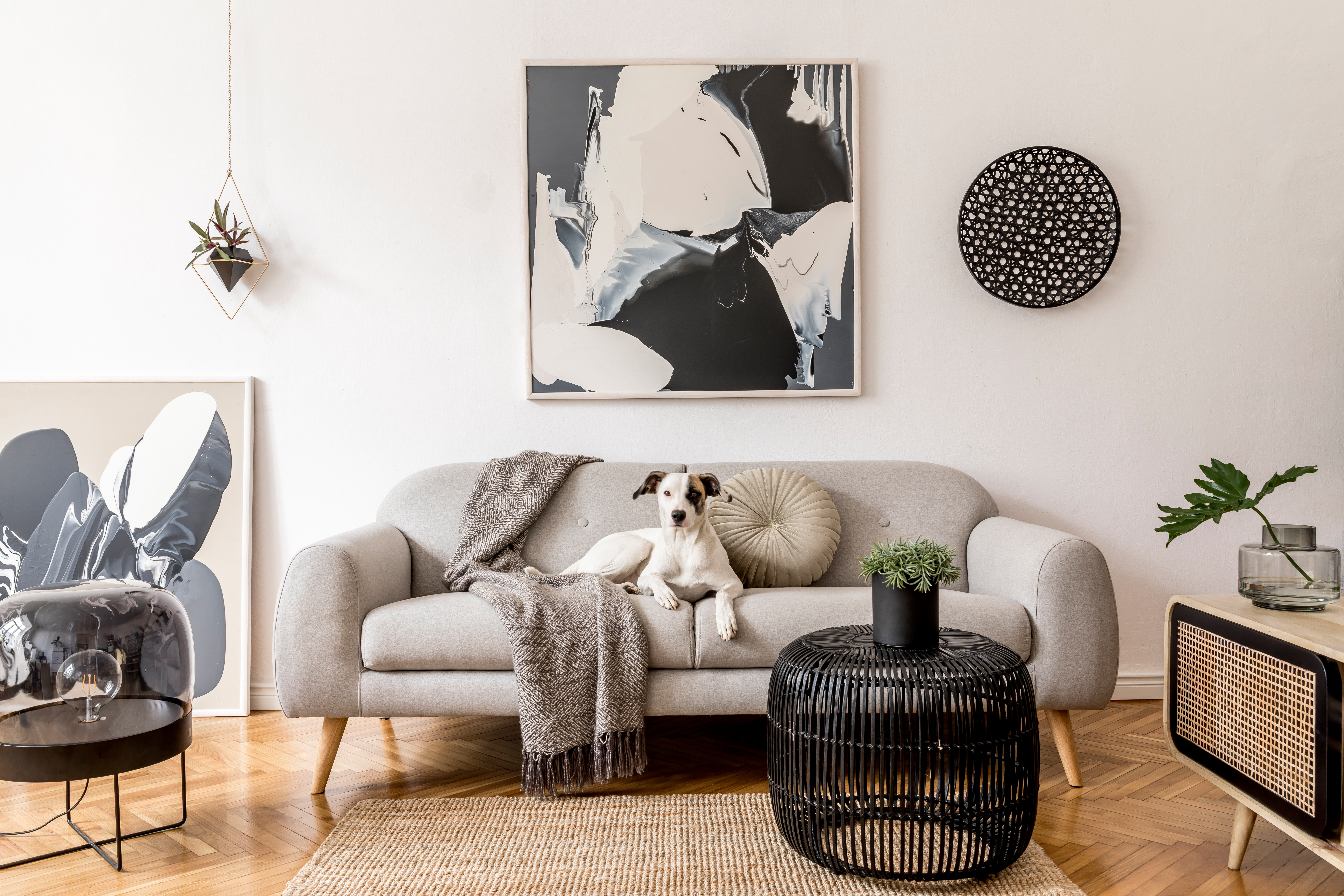AdobeStock_286258506