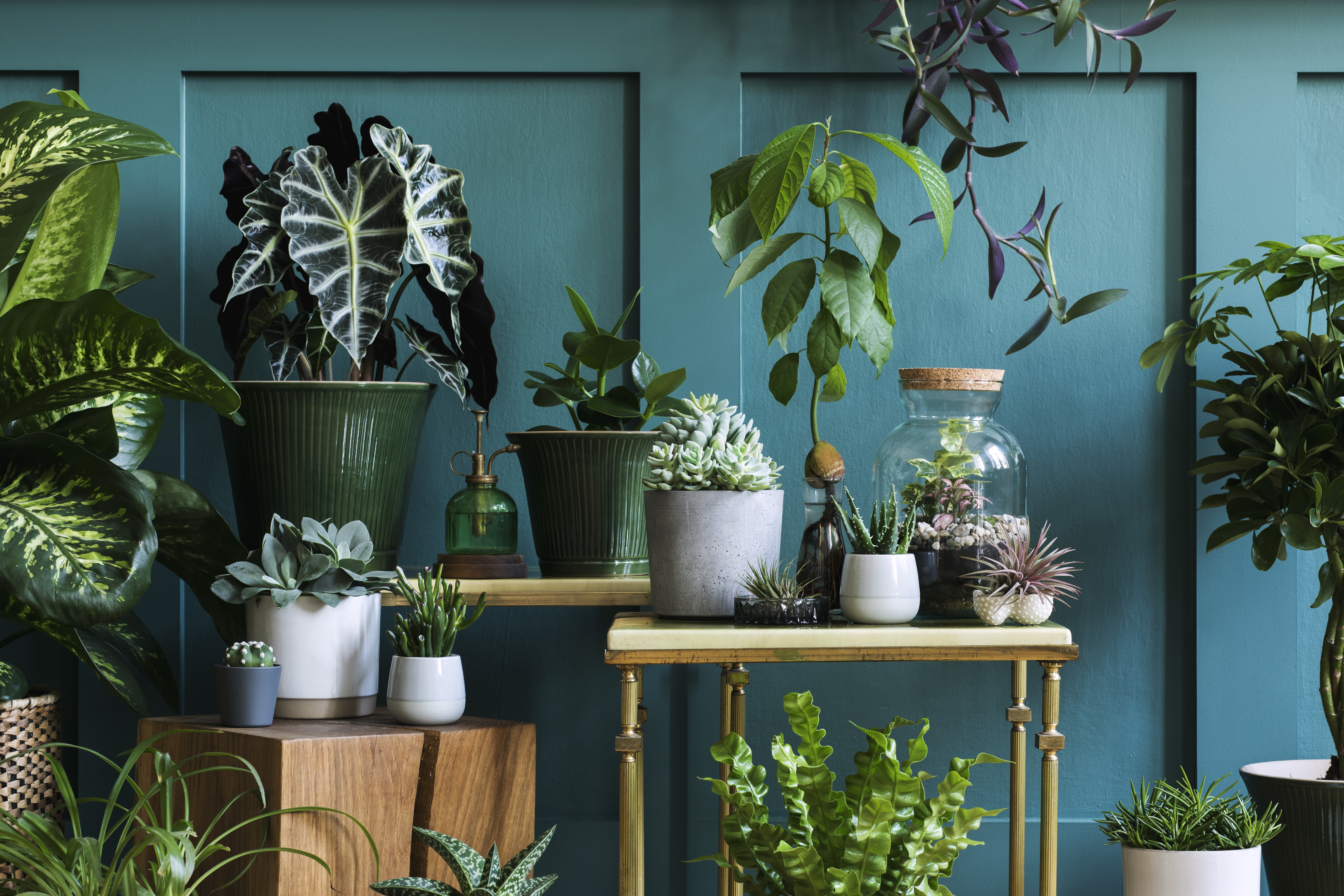 AdobeStock_313811088