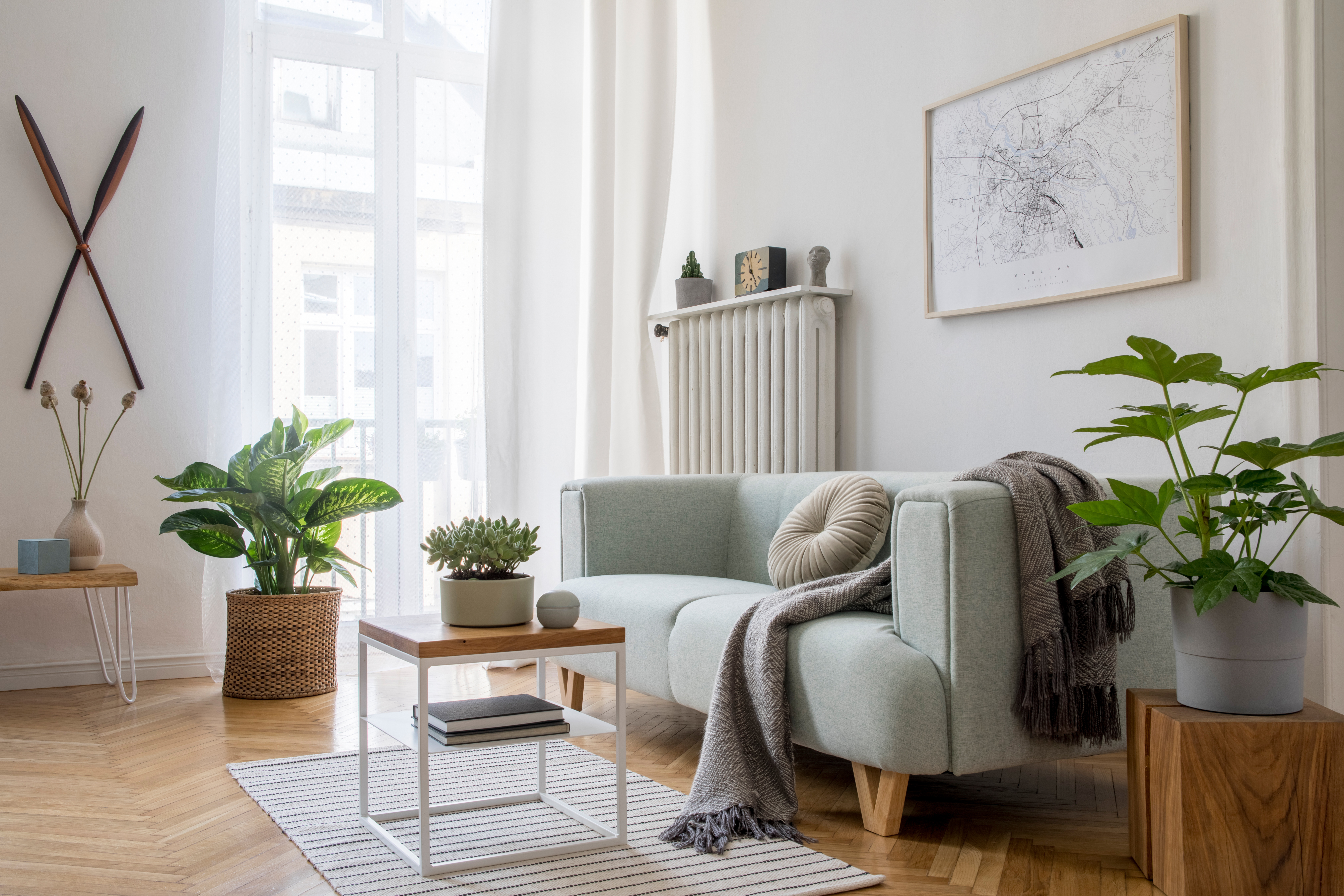 AdobeStock_308579883