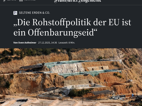 FAZ INTERVIEW: Die Rohstoffpolitik der EU ist ein Offenbarungseid