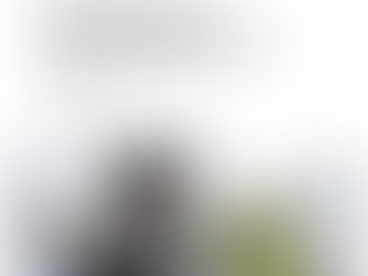 ROHSTOFFSICHERHEIT DURCH NEUE SCHULDEN?