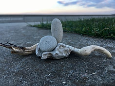 6543C076-500E-4A0A-8C40-212914AF20D3_1_105_c.jpeg