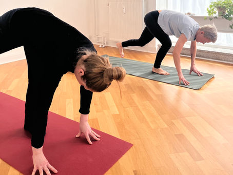 Hvorfor gå til yoga?