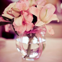 14839_181939436488_507826488_2703742_397338_n