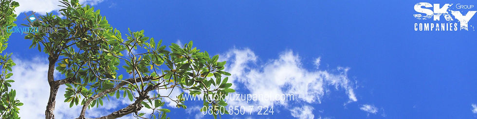 Küçük resim: 30x120 Gökyüzü Panel Sıva Üstü 40w Ultra Slim 1x1