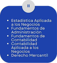 PLANES DE ESTUDIO LIC EJEC-17.png