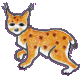 lynx