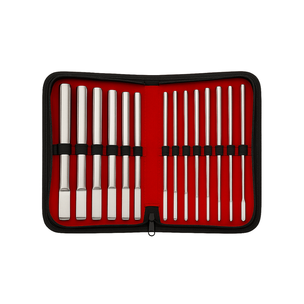 STALLIONS STEEL „delve deep“ – vienpusių uretrinių zondų rinkinys (14 vnt.) BDSM aksesuaras