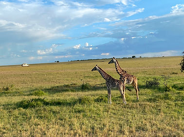 Plongez au cœur du Kenya