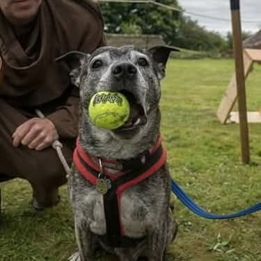 So proud of his ball!