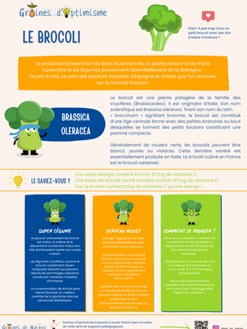 Graines d'Optimisme Graines de Naturo Fiche pédagogique fruits et légumes le brocoli natur