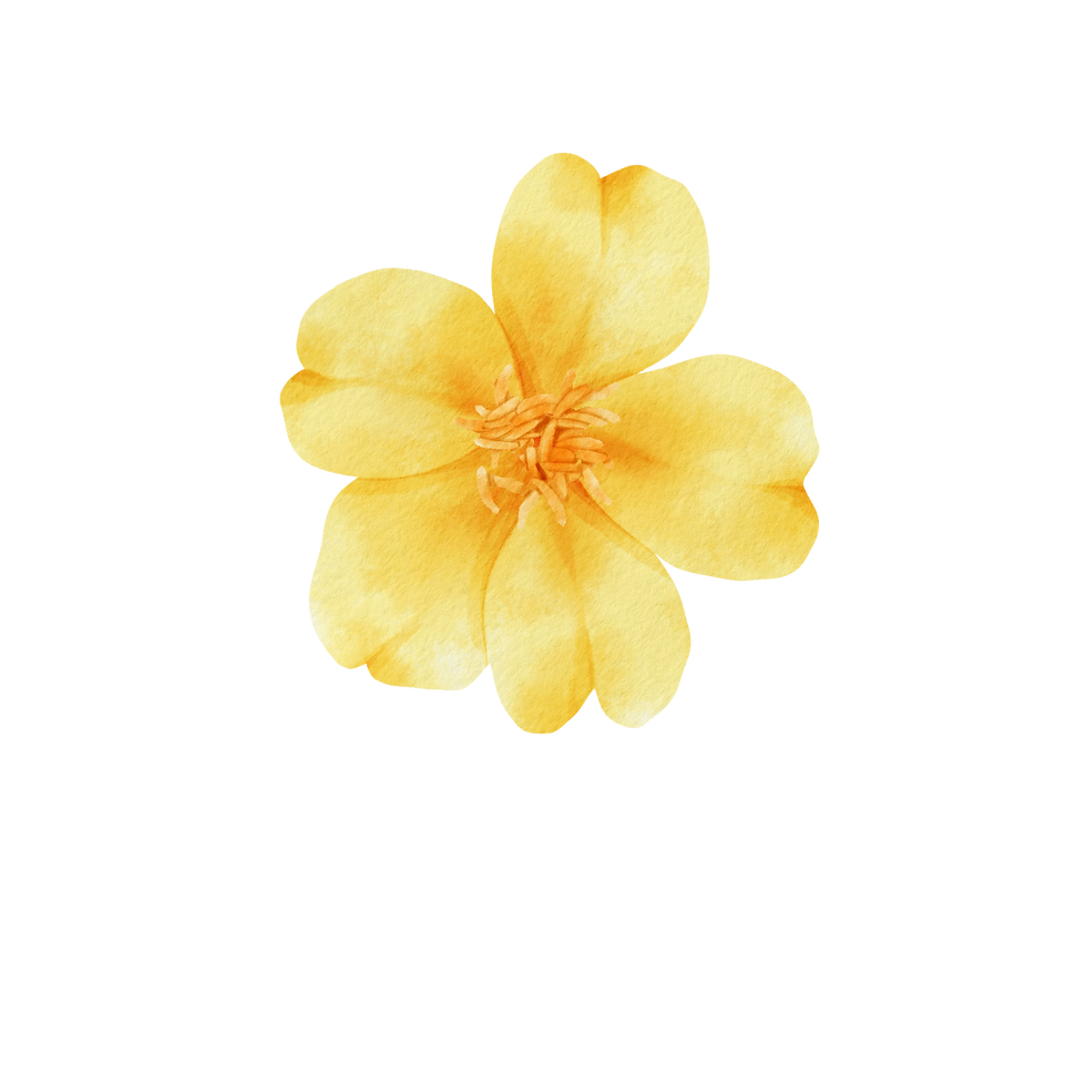 16.png