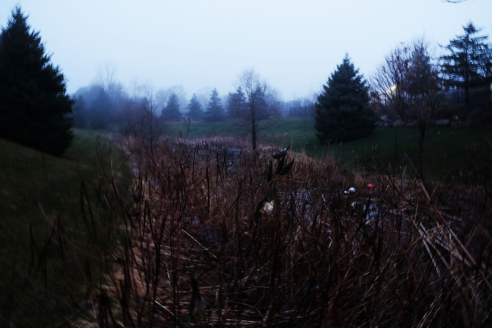 DSCF8644a