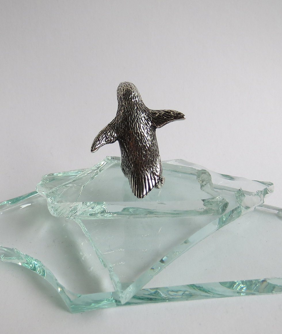 Thumbnail: Penguin running