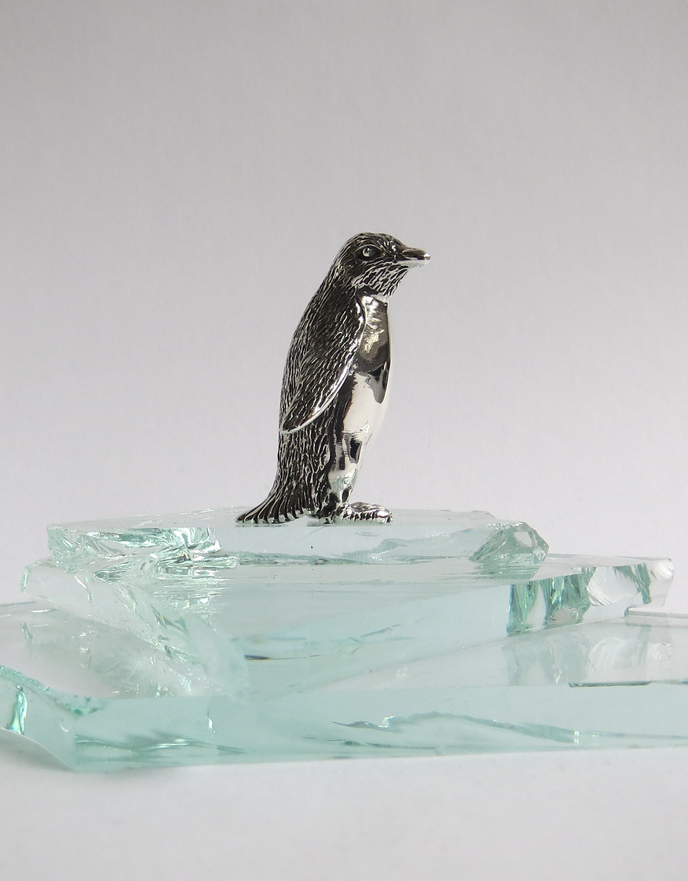Thumbnail: Penguin standing